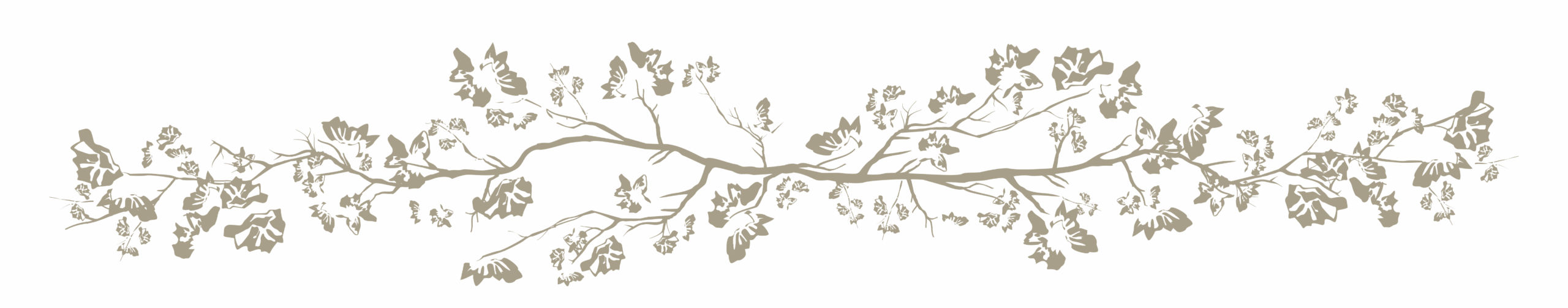 background decor